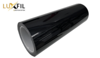 PPF HEADLIGHT DEEP BLACK