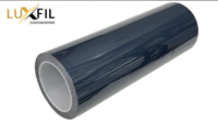 PPF HEDLIGHT LIGHT BLACK
